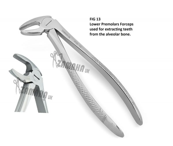 Tooth Extracting forceps, tooth extraction plier